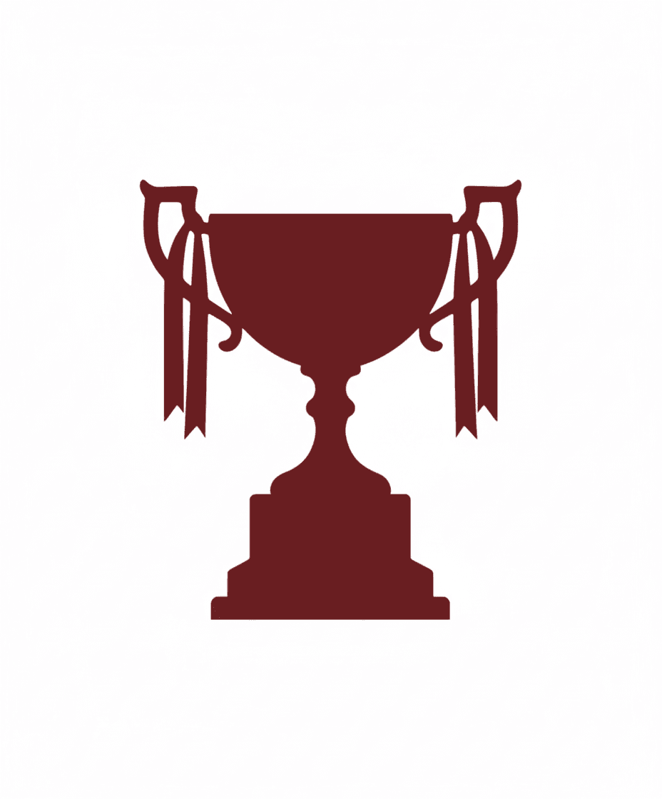 Imagen del torneo Copa Centenario