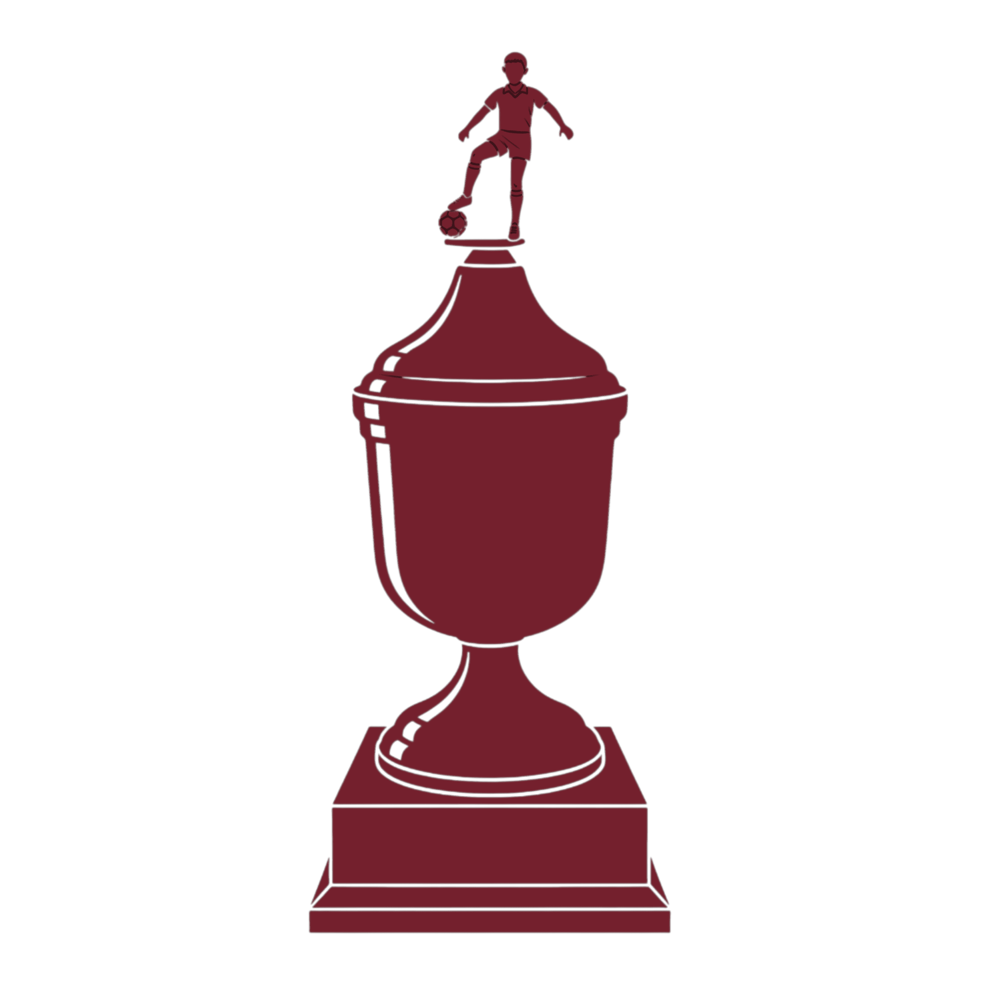 Imagen del torneo Copa Argentina