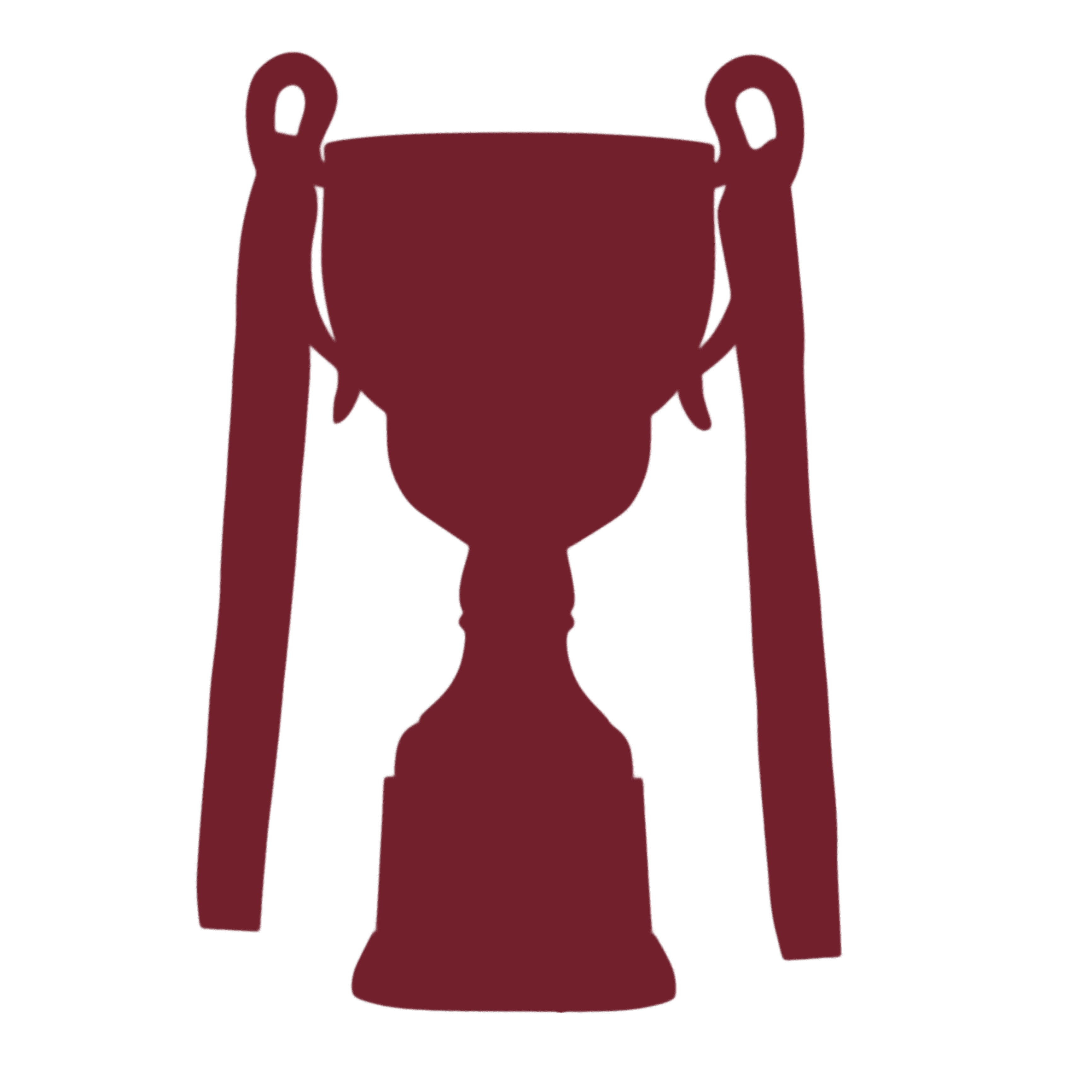 Imagen del torneo Torneo Clausura