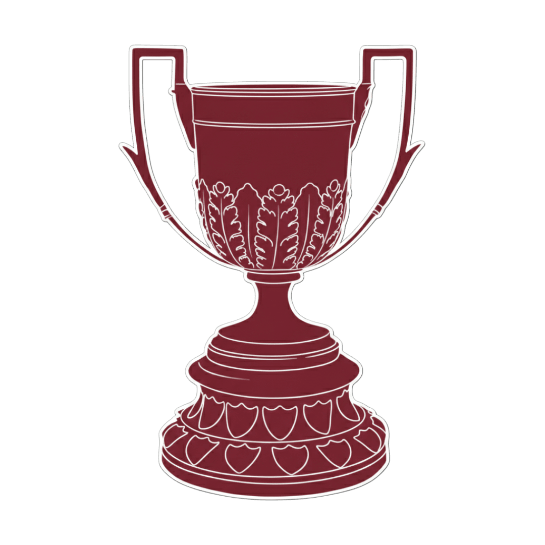 Imagen del torneo Campeonato Primera Division