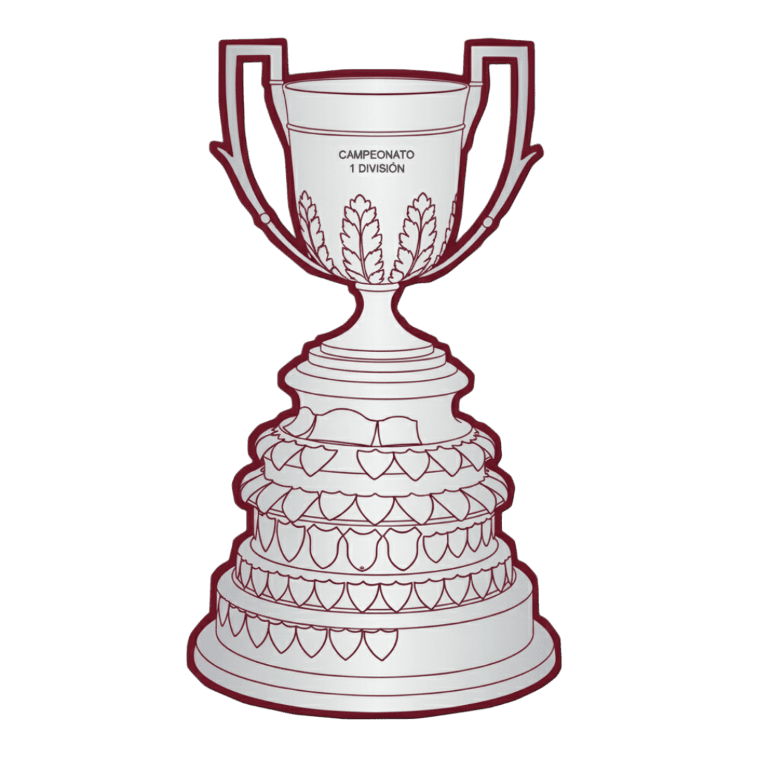 Imagen del torneo Campeonato Primera Division