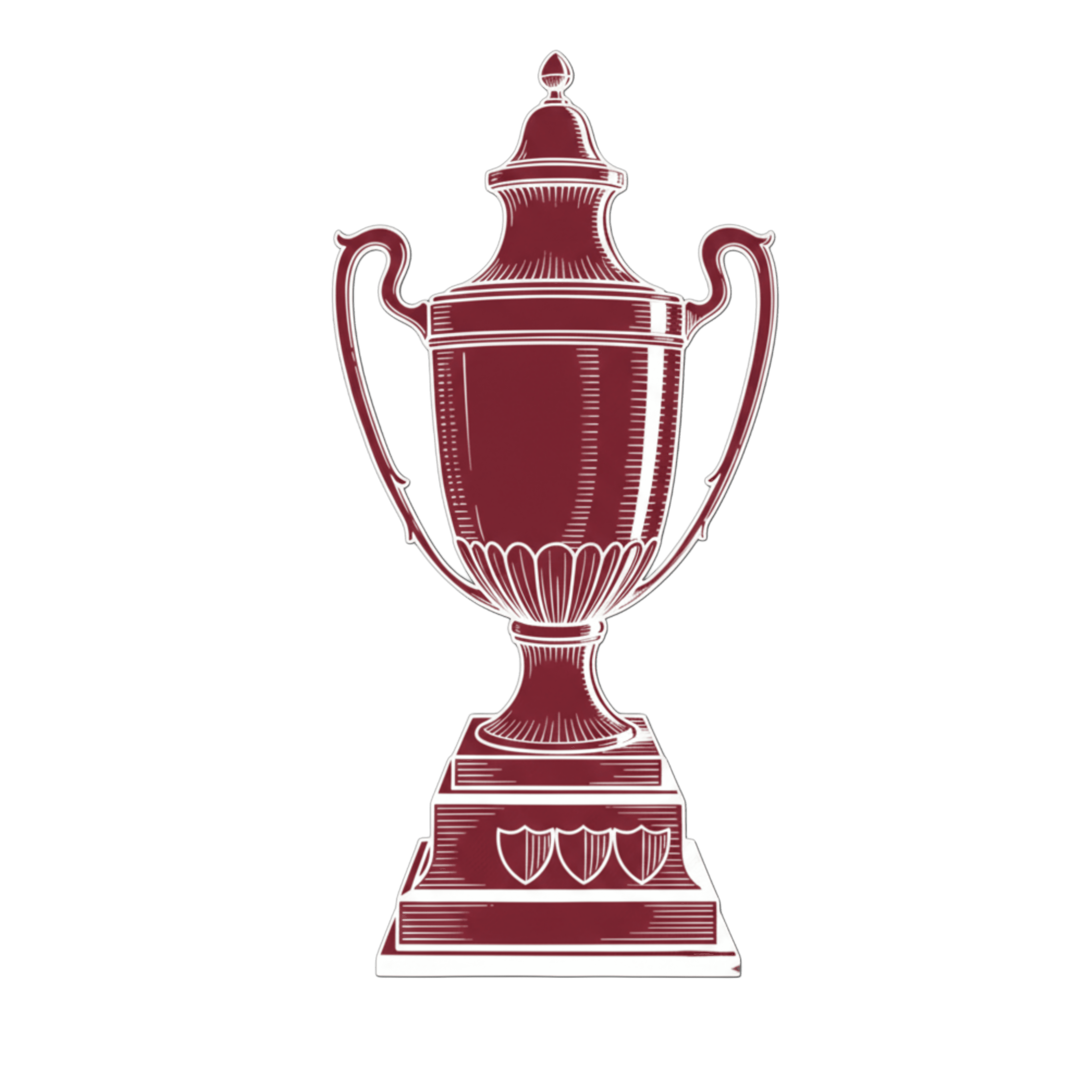 Imagen del torneo Copa Competencia de Primera Division Aaf